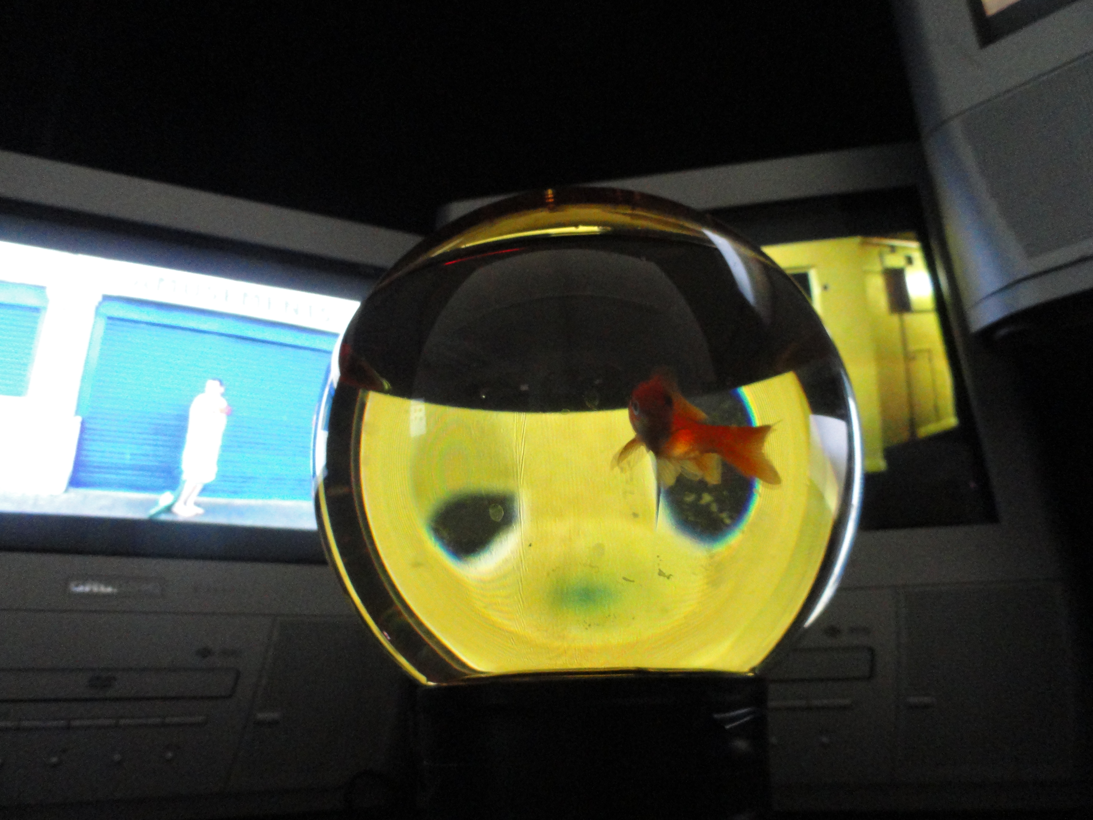 Robert Kraatz

Bühnenbild
Setdesign
Szenographie